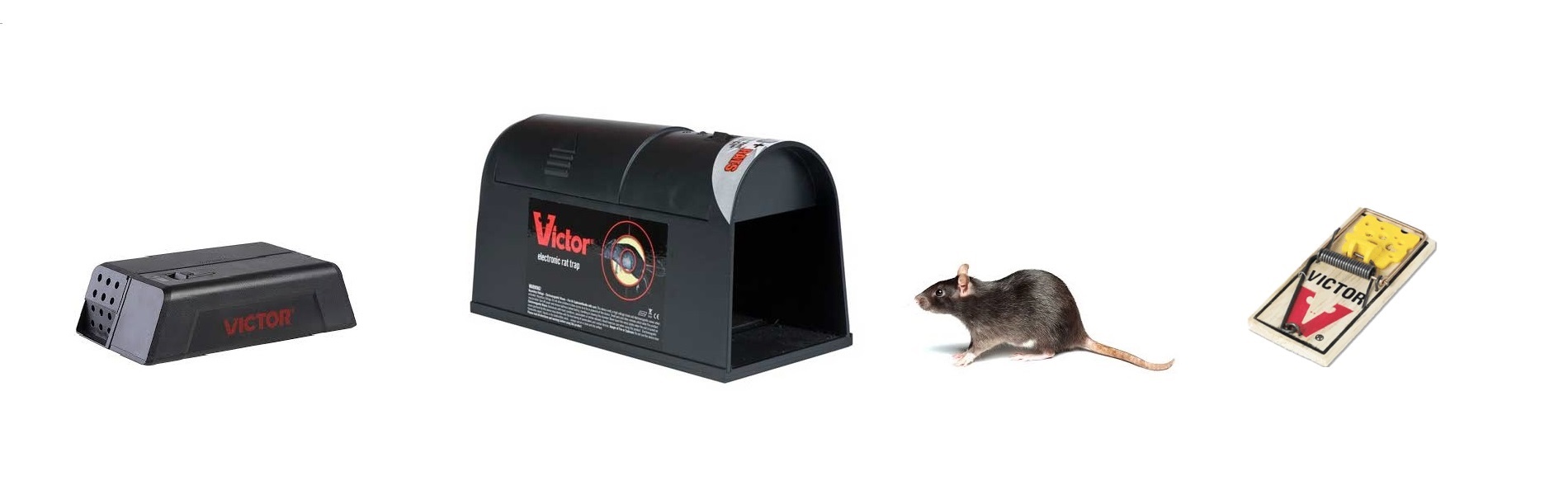 Protec Raticida
